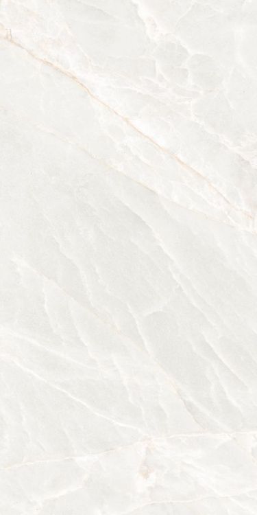 Brasilia White Matte 12 x 24